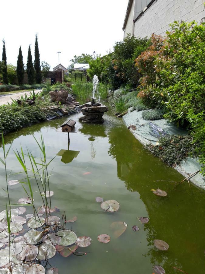 Le Bois De Laval Bed & Breakfast Marey-les-Fussey Rom bilde