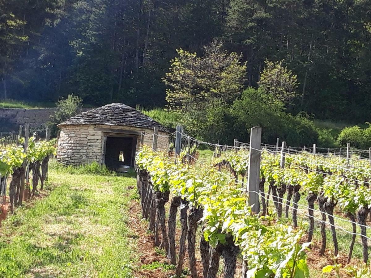 Le Bois De Laval Bed & Breakfast Marey-les-Fussey Eksteriør bilde